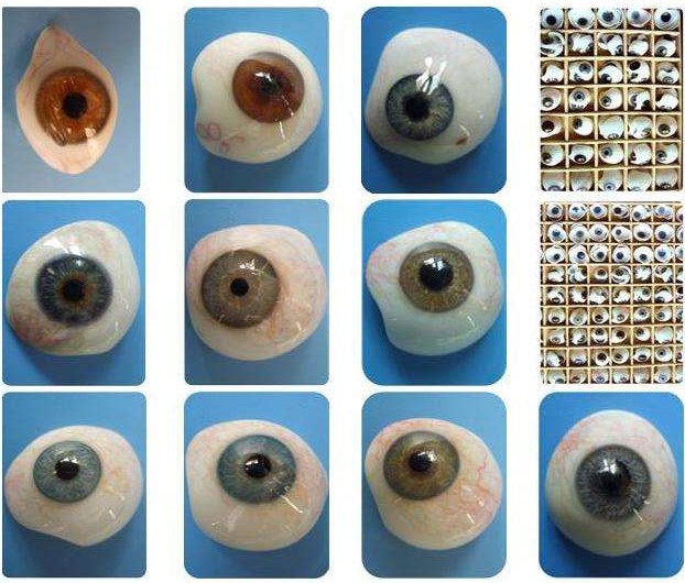 失明者福音-疏水性聚合物合成角膜义眼